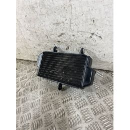 Radiatore Acqua Zontes ZT125 - U Dal 2020 Al 2026  1770739153429