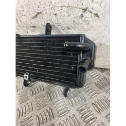 Radiatore Acqua Zontes ZT125 - U Dal 2020 Al 2026  1770739153429