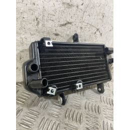 Radiatore Acqua Zontes ZT125 - U Dal 2020 Al 2026  1770739153429