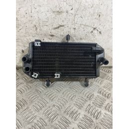 Radiatore Acqua Zontes ZT125 - U Dal 2020 Al 2026  1770739153429