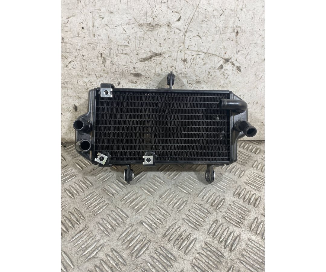 Radiatore Acqua Zontes ZT125 - U Dal 2020 Al 2026  1770739153429