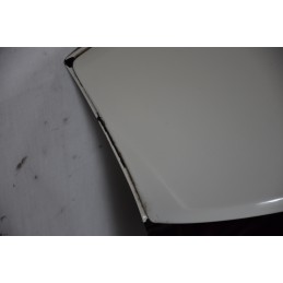 Portellone Bagagliaio Posteriore Fiat 500 dal 2007 in poi Cod 52056198  1626333282716