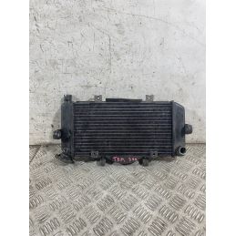 Radiatore Acqua Yamaha TDM 900 Dal 2002 Al 2014  1770890190028