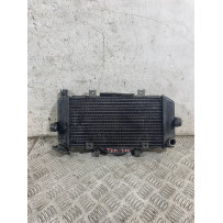 Radiatore Acqua Yamaha TDM 900 Dal 2002 Al 2014  1770890190028