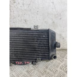 Radiatore Acqua Yamaha TDM 900 Dal 2002 Al 2014  1770890190028