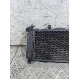 Radiatore Acqua Yamaha TDM 900 Dal 2002 Al 2014  1770890190028