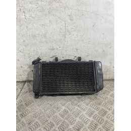 Radiatore Acqua Yamaha TDM 900 Dal 2002 Al 2014  1770890190028