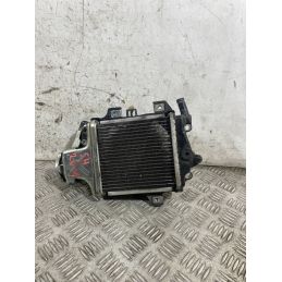 Radiatore Acqua Honda SH 125 / 150 Dal 2013 al 2016  1770903496888