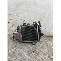 Radiatore Acqua Honda SH 125 / 150 Dal 2013 al 2016  1770903496888