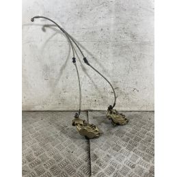 Coppia Pinze Freni Anteriori Brembo Serie Oro Ducati Monster 600 Dal 1998 al 2001  1770983728459