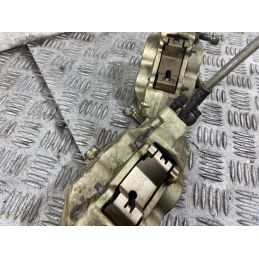 Coppia Pinze Freni Anteriori Brembo Serie Oro Ducati Monster 600 Dal 1998 al 2001  1770983728459