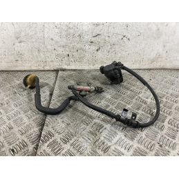 Impianto Frenante Pinza e Pompa Freno Posteriore Honda Hornet 600 dal 2005 al 2006  1771242089281