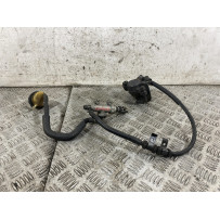 Impianto Frenante Pinza e Pompa Freno Posteriore Honda Hornet 600 dal 2005 al 2006  1771242089281