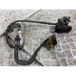 Impianto Frenante Pinza e Pompa Freno Posteriore Honda Hornet 600 dal 2005 al 2006  1771242089281