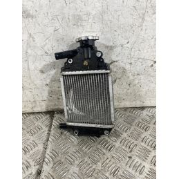 Radiatore Aprilia SR GT 125 Dal 2022 al 2025  1771254802977