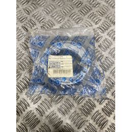 Coppia Ganasce Posteriori Piaggio Hexagon 125 4T dal 1994 al 2003 COD CM06040  1771344037791