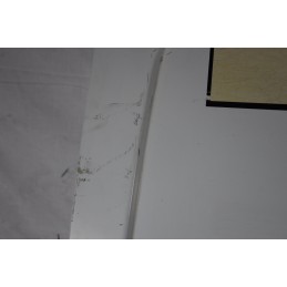 Portellone Bagagliaio Posteriore SX Fiat Ducato dal 1994 al 2002  1628154100101