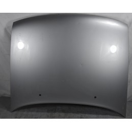 Cofano Anteriore Grigio Ford Escort SW dal 1997 al 2000 Cod 1034481  1631262402739