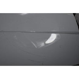 Portiera sportello destro DX Smart Fortwo W451 Dal 2007 al 2015 Cod A4517220209C50L  1633677637416