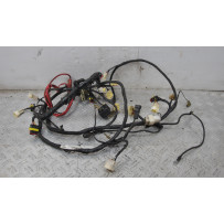 Cabalggio impianto Elettrico Benelli Caffènero 125 / 150 dal 2011 al 2016  1637588782562