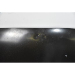 Cofano anteriore Citroen C2 Dal 2003 al 2009 Cod 7901Q3  1637856239316