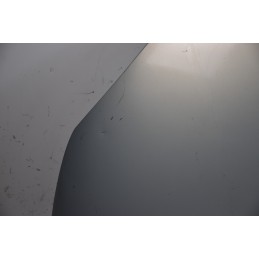 Cofano anteriore Renault Scenic II Dal 2003 al 2009 Cod 7751474289  1622552297982