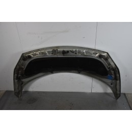 Cofano anteriore Renault Scenic II Dal 2003 al 2009 Cod 7751474289  1622552297982