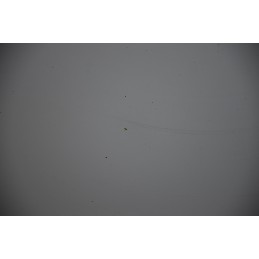 Cofano anteriore Opel Astra G Dal 1998 al 2006 Cod 93171043  1640188578596