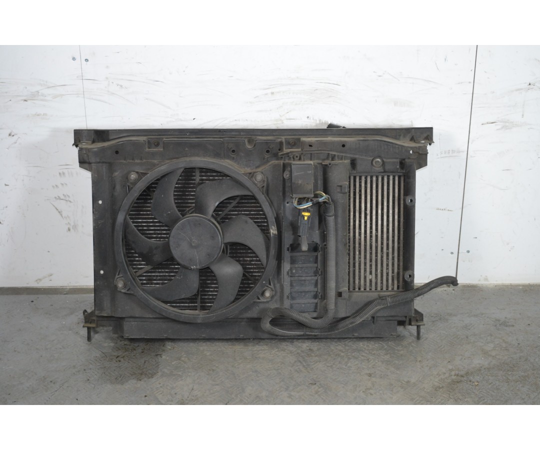 Elettroventola Citroen C4 Picasso 1.6 HDi dal 2006 al 2013  1642515209524