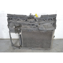 Radiatore Completo Citroen C3 Picasso dal 2008 al 2017 Cod c04431-253  1642515770642