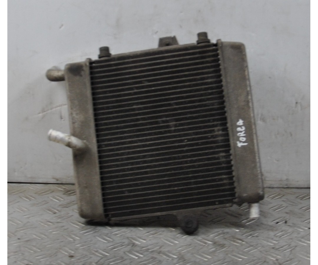 Radiatore + Ventola Honda Forza 250 Dal 2008 al 2011  1643814935770
