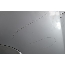 Cofano Anteriore Nissan Terrano II dal 1999 al 2005 Cod 651007F030  1645196192208