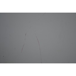 Tetto Autobianchi Bianchina Panoramica Dal 1960 al 1969  1646753707576