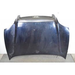 Cofano anteriore Hyundai Santa Fe Dal 2000 al 2006 Cod 6640026074  1646820020577