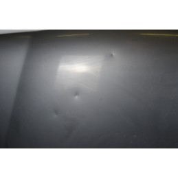 Cofano Anteriore Nissan Terrano II dal 1999 al 2005 Cod 651007F030  1649142731558