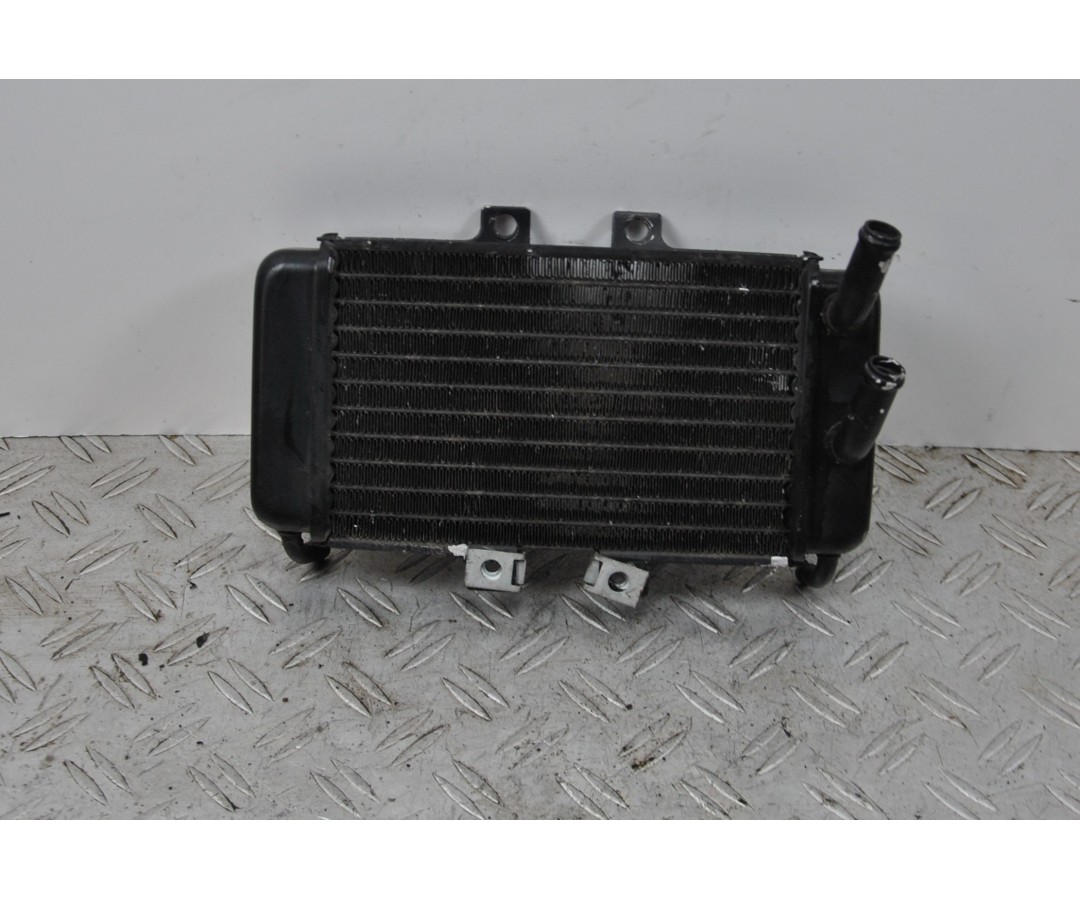 Radiatore Piaggio NRG 50 dal 1997 al 2001  1649154437219