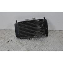 Radiatore Piaggio NRG 50 dal 1997 al 2001  1649154437219