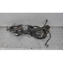 Cablaggio Impianto Elettrico Aprilia Scarabeo 250 dal 2006 al 2012  1654507777089